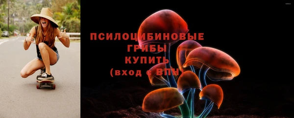 гашик Балабаново